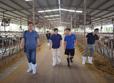 中国农业科学院奶产业专家团（筹）助力灾区奶业恢复与发展