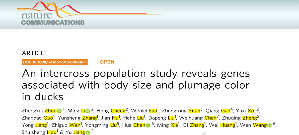 我所在北京鸭重要性状遗传机制研究上取得重大进展