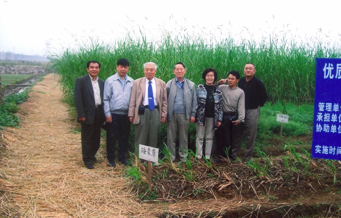 2005年，张子仪先生在湘西矮象草试验田调研