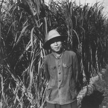 1960年，张子仪先生在浙江诸暨县试验场