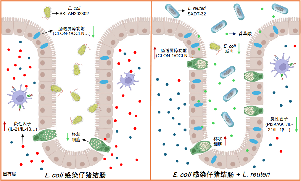 29ee8bb0-2509-4970-b9e2-16dd54034c9f.png