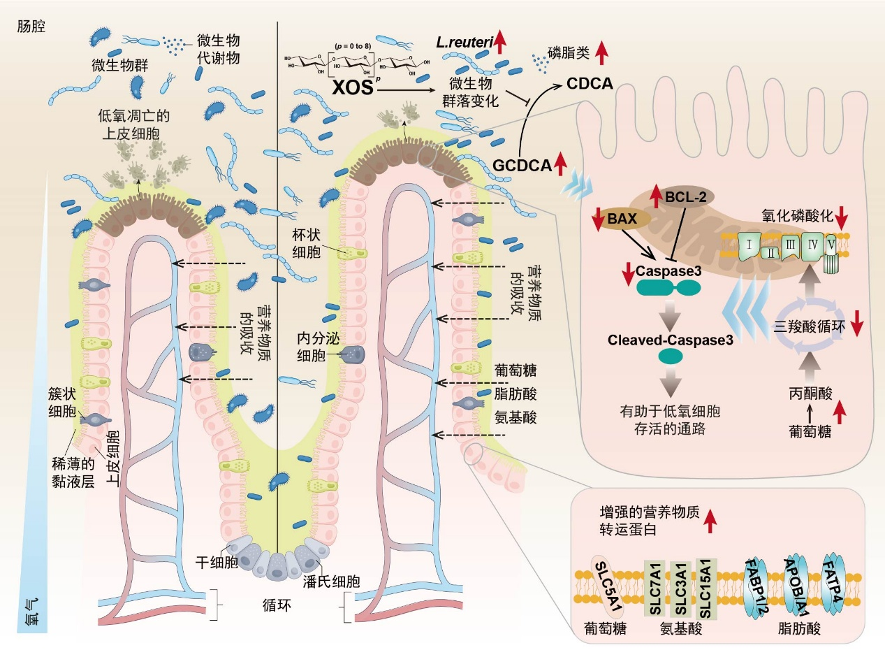 图片1(2).png