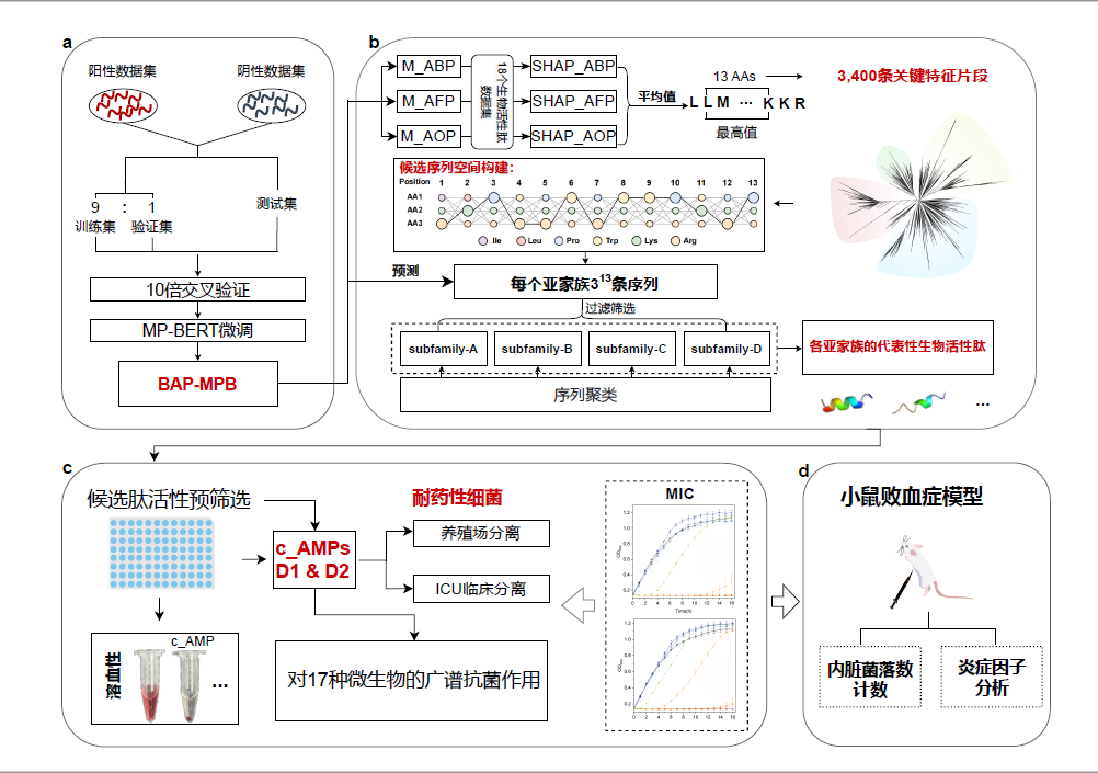 59318a17-1f49-4651-951a-52f3751ea202.png