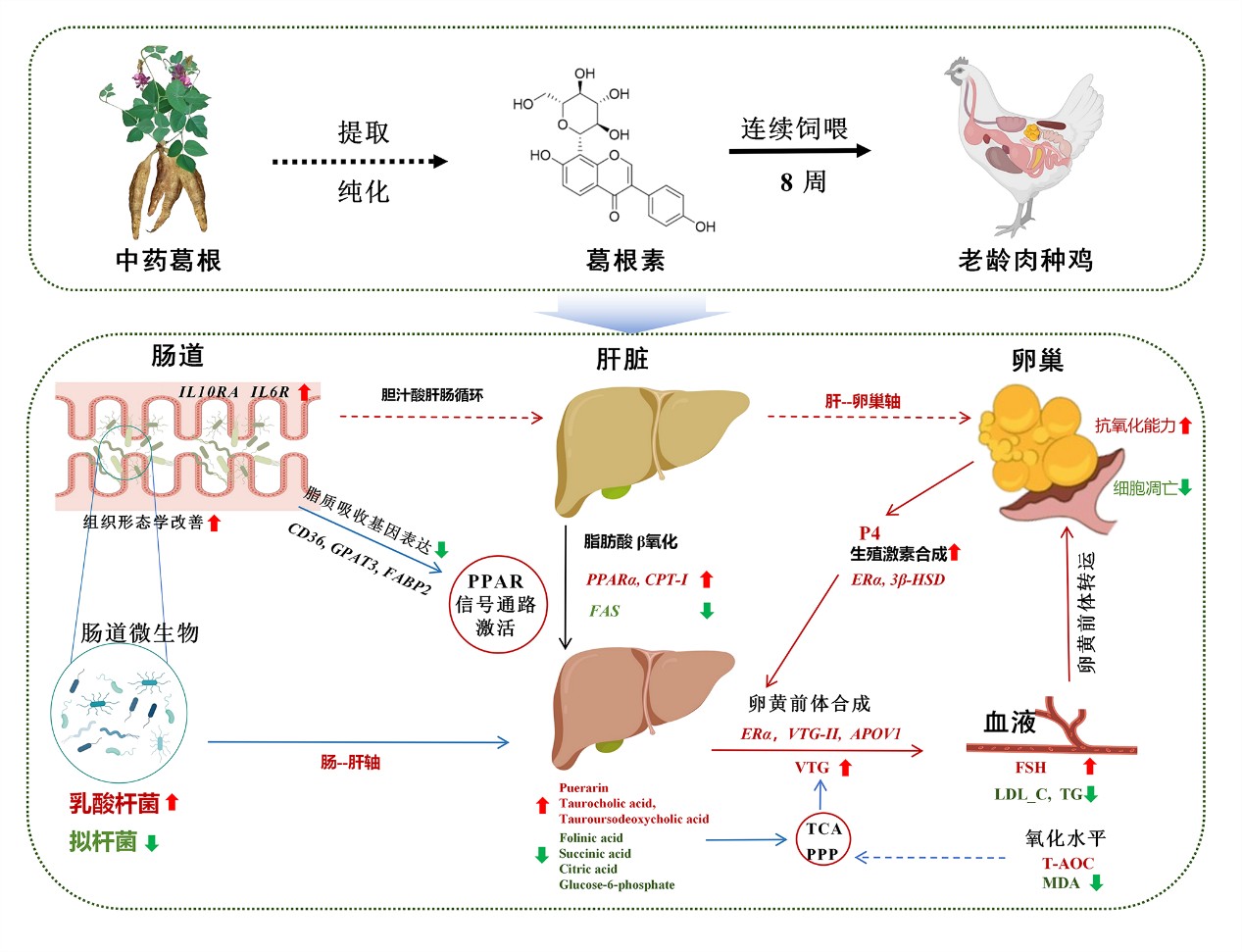 微信图片_2026-07-02_154854_996.jpg
