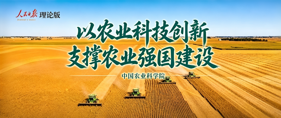 生成高清图.png