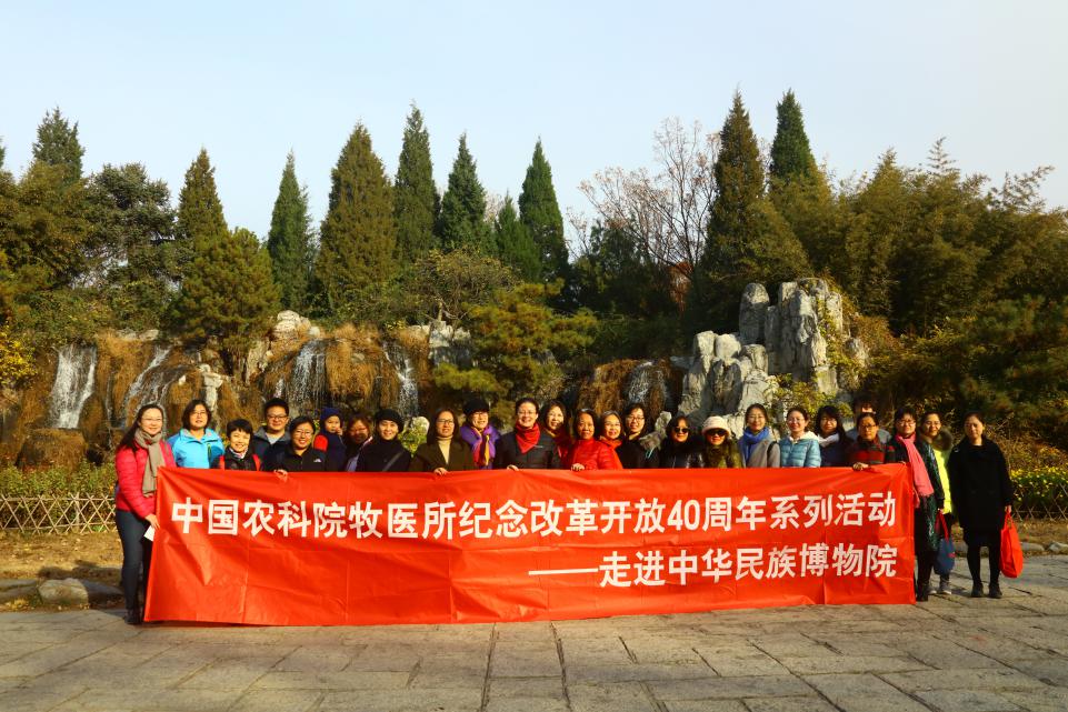 妇委会组织开展“奋斗年代•岁月芳华——走进中华民族博物院” 活动