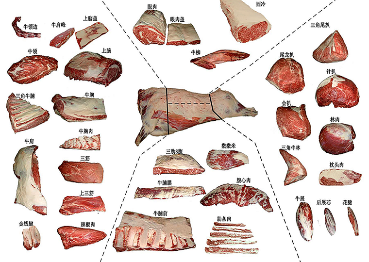 牛肉品质评价与胴体分级分割增值技术