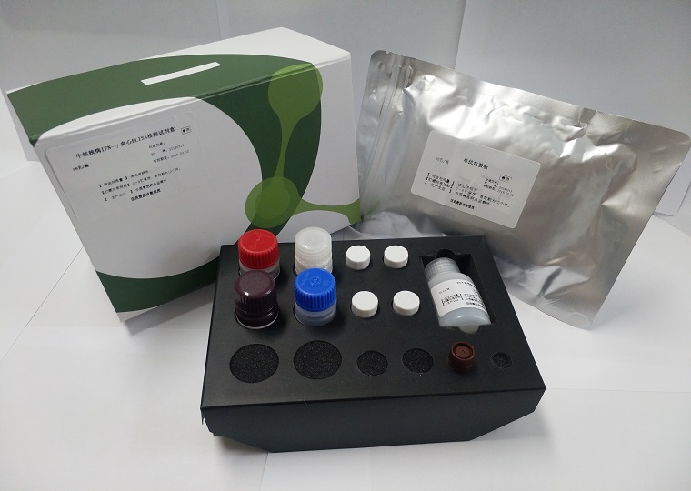 牛结核病IFN-γ夹心ELISA检测试剂盒