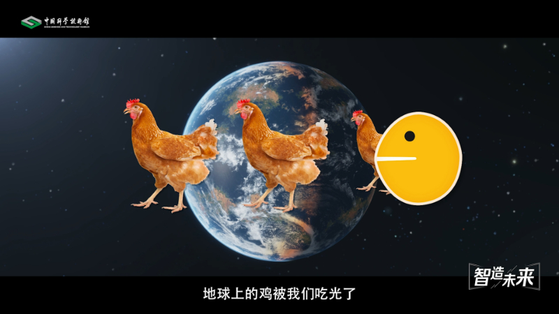 【智造未来】种源安全 吃鸡自由——白羽肉鸡自主育种