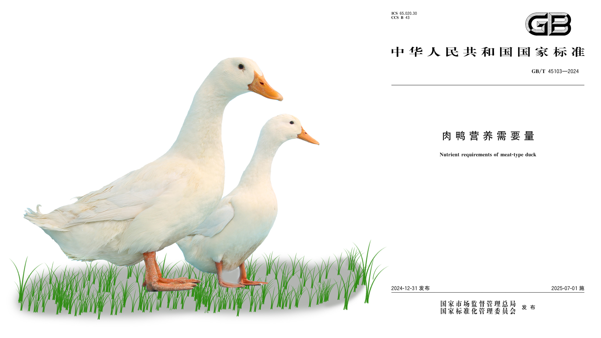 未标题-2.jpg