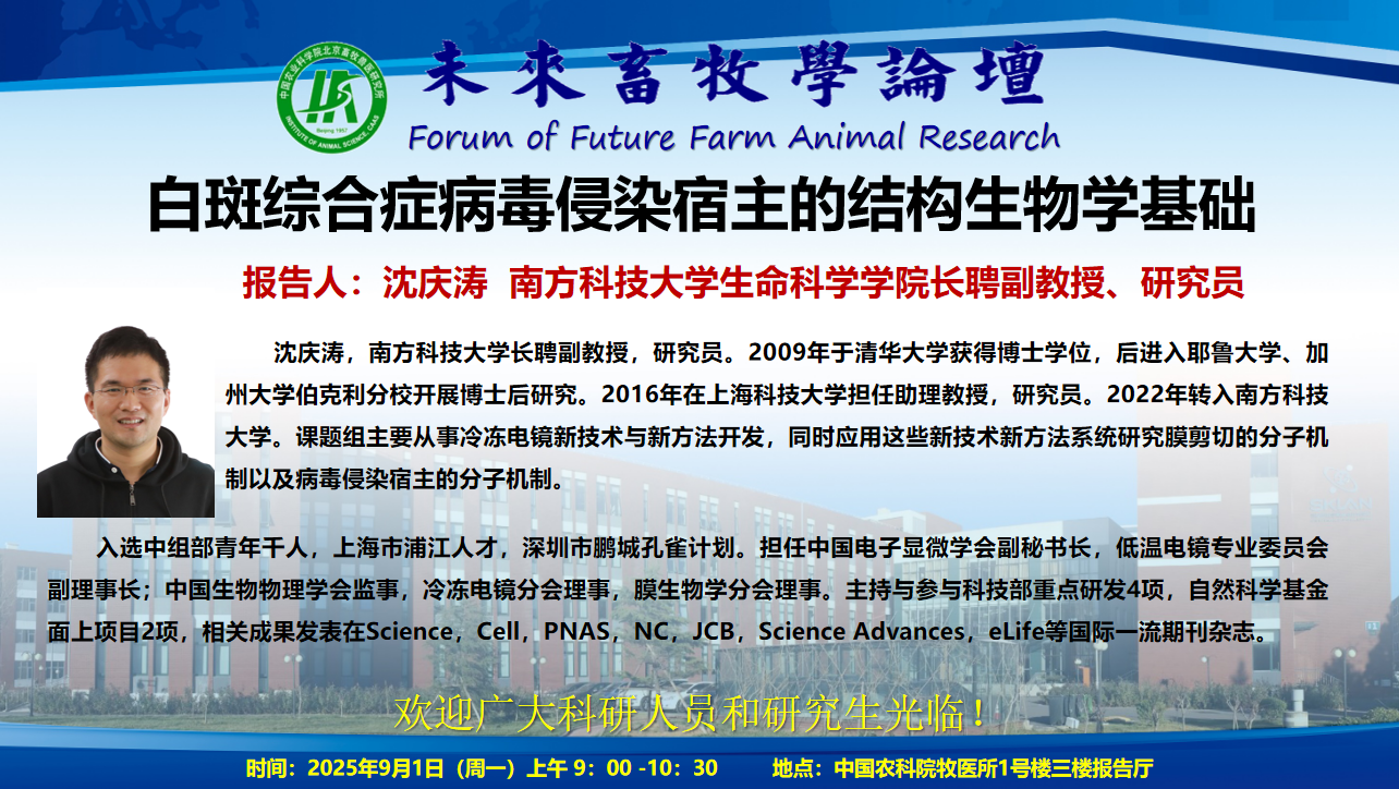6485538c-7f26-475b-a3e6-a5ef616705a3.png