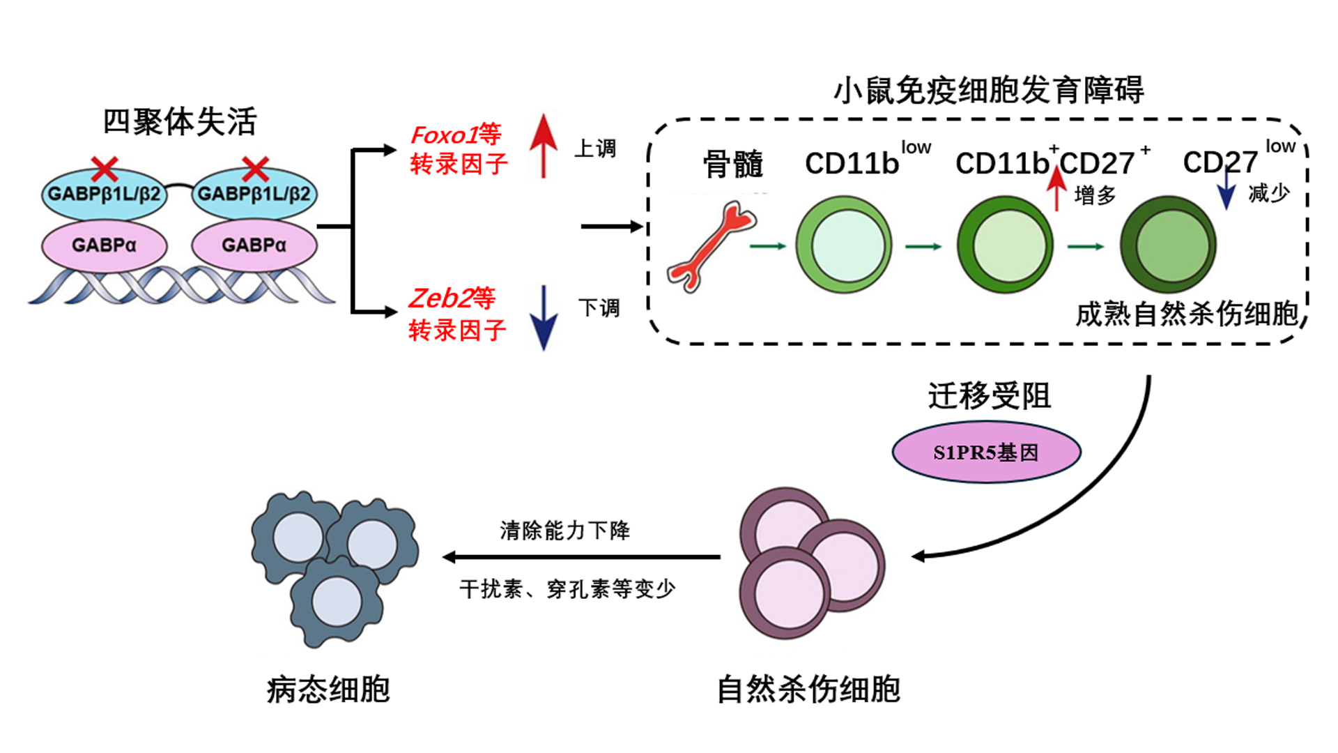 未标题-1.jpg