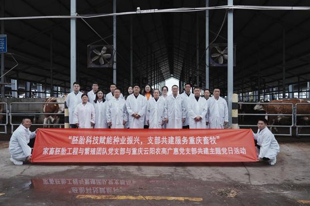 微信图片_20260402192950