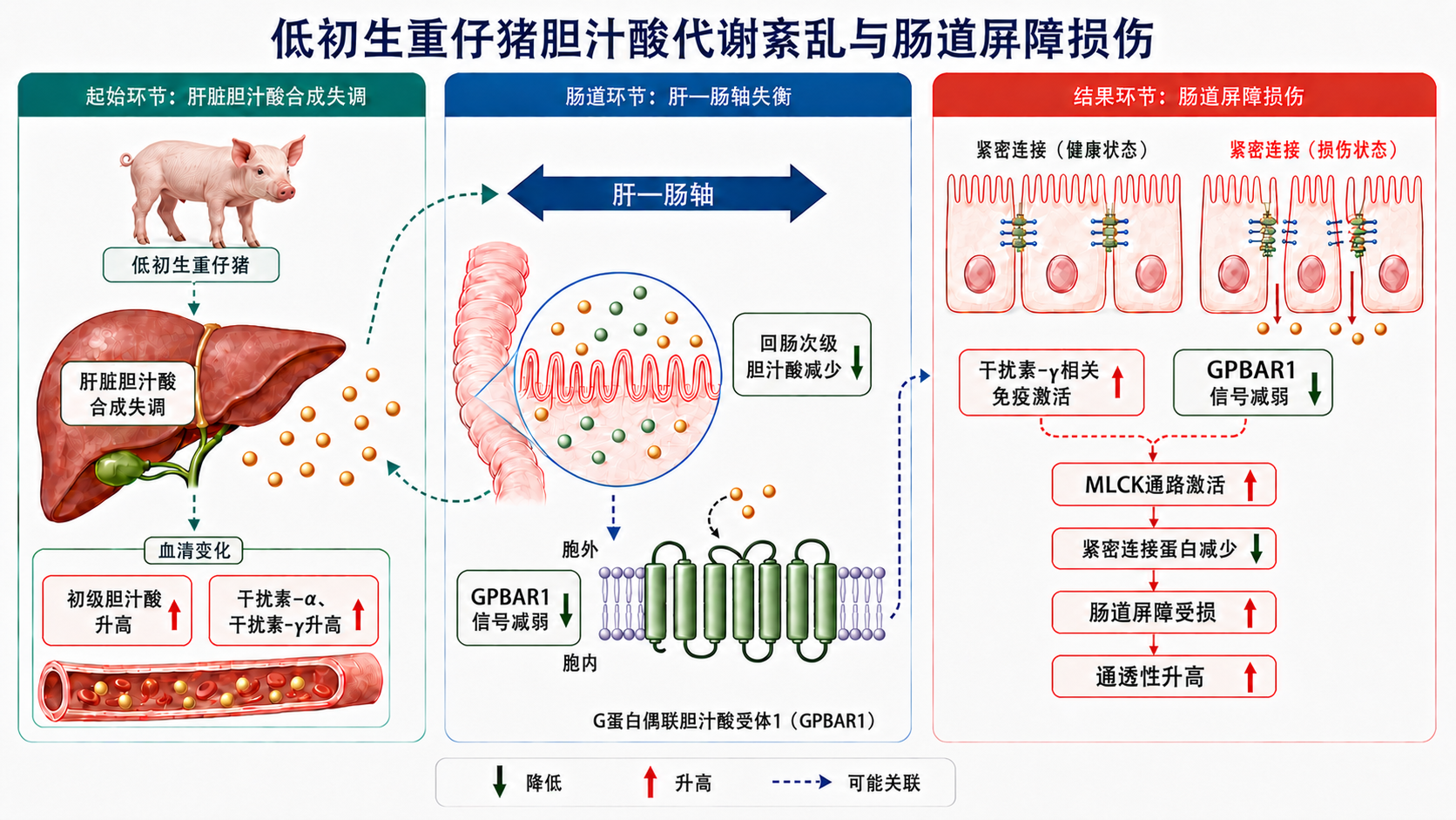 调整后的配图.png