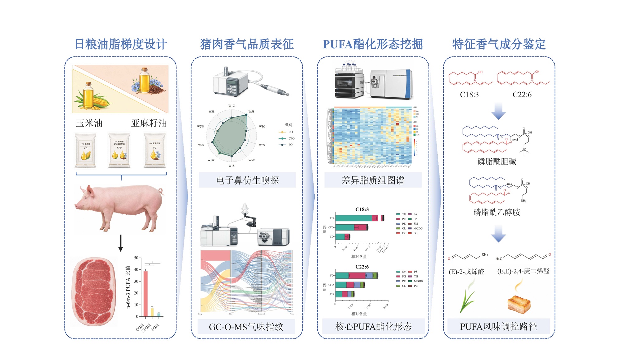 优质功能畜产品创新团队揭示日粮亚麻籽油调控猪肉风味作用及机制——图形摘要.jpg