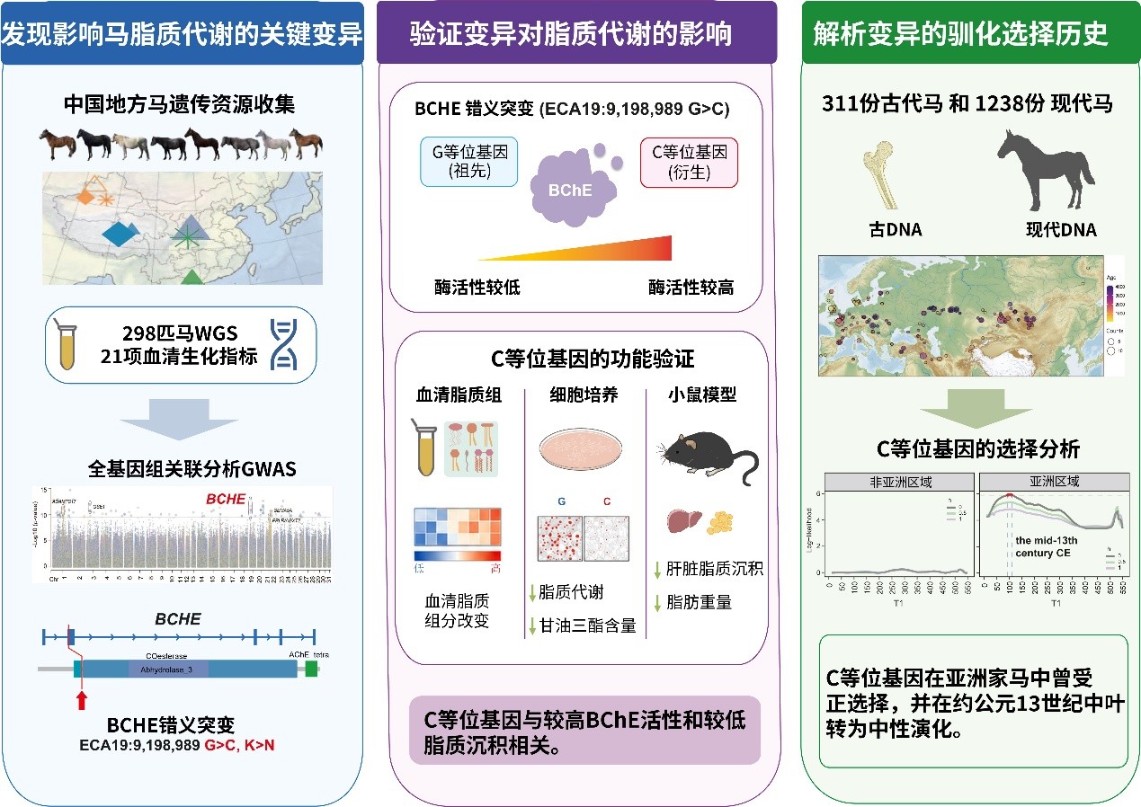 图片修改.jpg